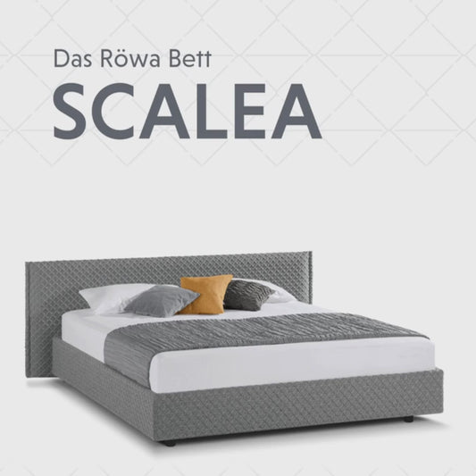 Bett Scalea
